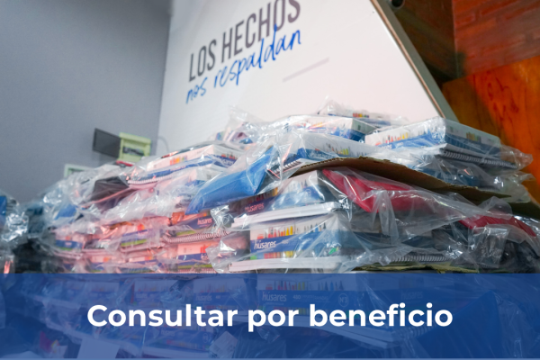 Ayuda escolar